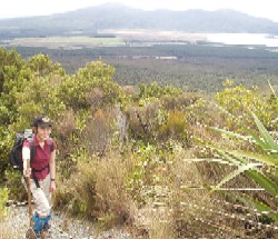 森林限界1200m付近