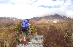 残雪のトンガリロ